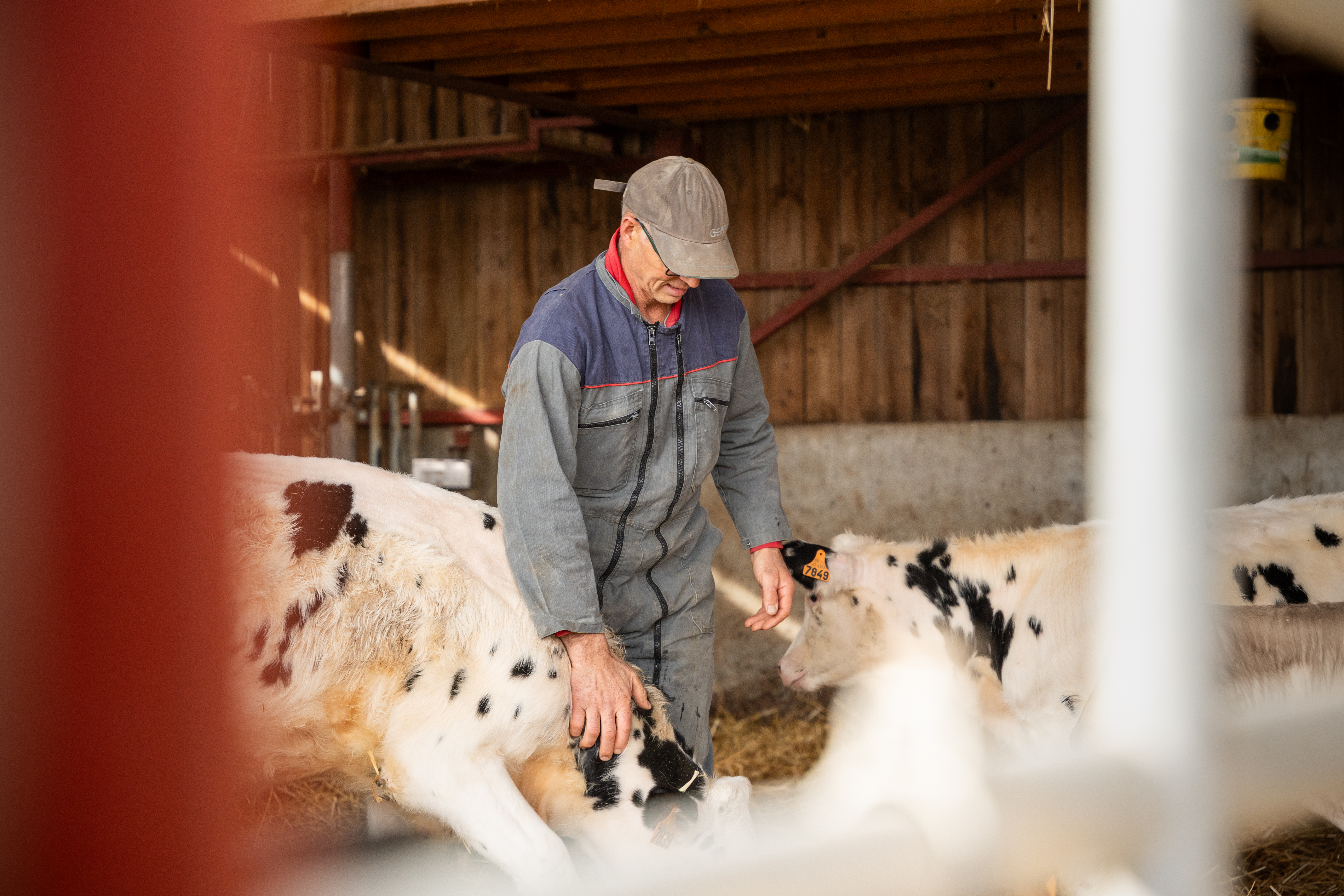 Ferme en transmission