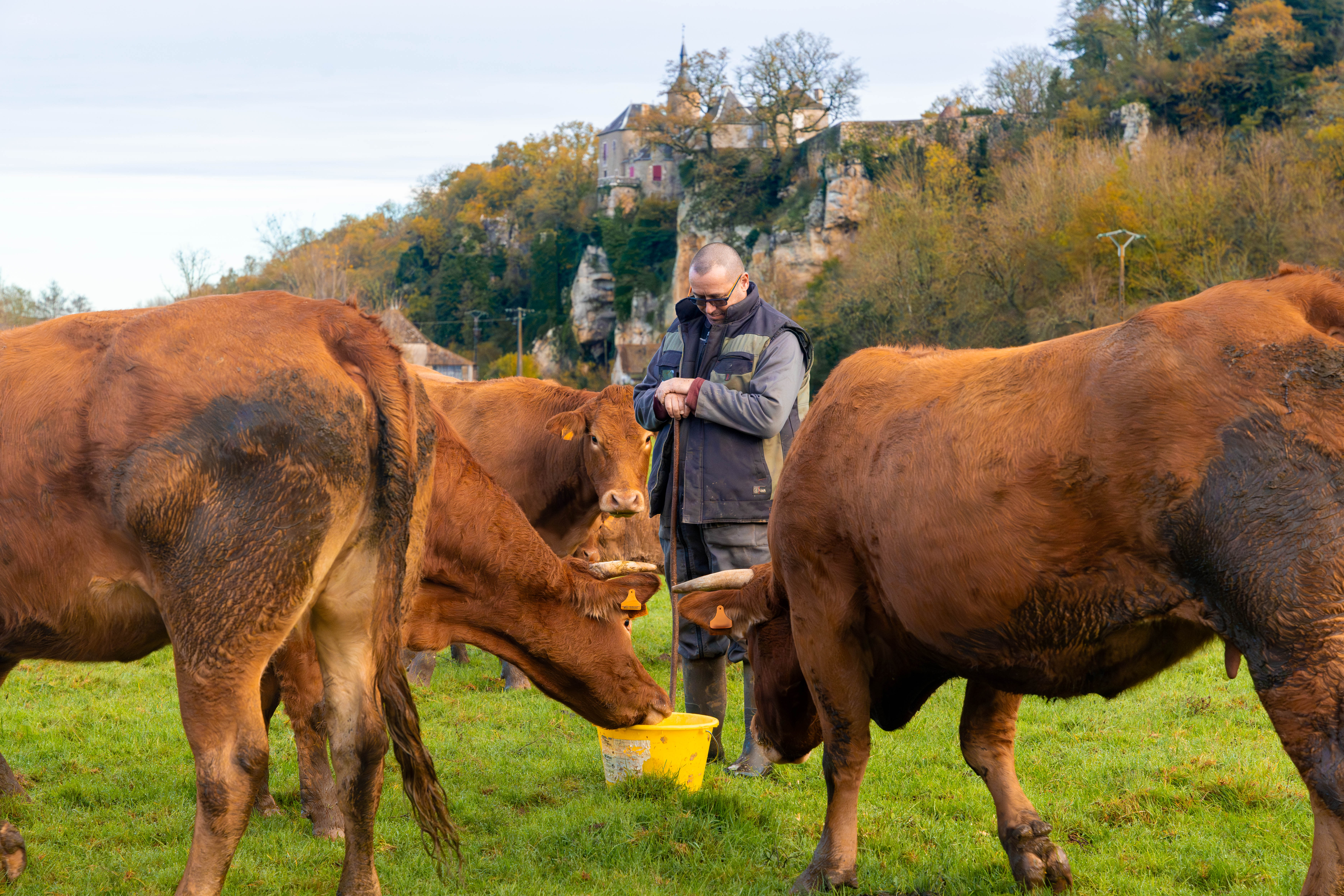 Ferme en transmission