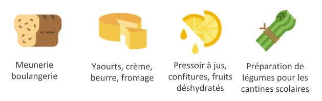 eloi_illu_bas