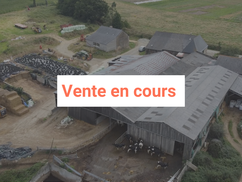 ferme_Bourg-des-Comptes (35)_Bretagne_🐐🐄 Elevage_BnlY9AAJ