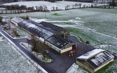 ferme_Secteur Carhaix-Plouguer (29) 90 ha_Bretagne_🐐🐄 Elevage_bAqJ3AAK