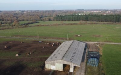 ferme_Boussay (44) 85 ha_Pays de la Loire_🐐🐄 Elevage_agk2rAAA