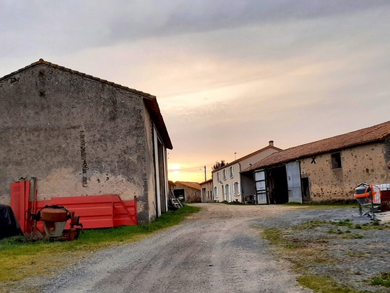 ferme_Maisontiers (79) 72 ha_Nouvelle-Aquitaine_🐐🐄 Elevage_bC0aKAAS