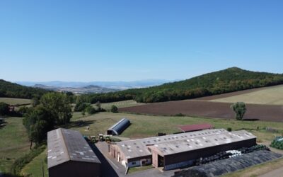 ferme_Pignols (63) 143 ha_Auvergne-Rhône-Alpes_🐐🐄 Elevage_hfNPBAA2