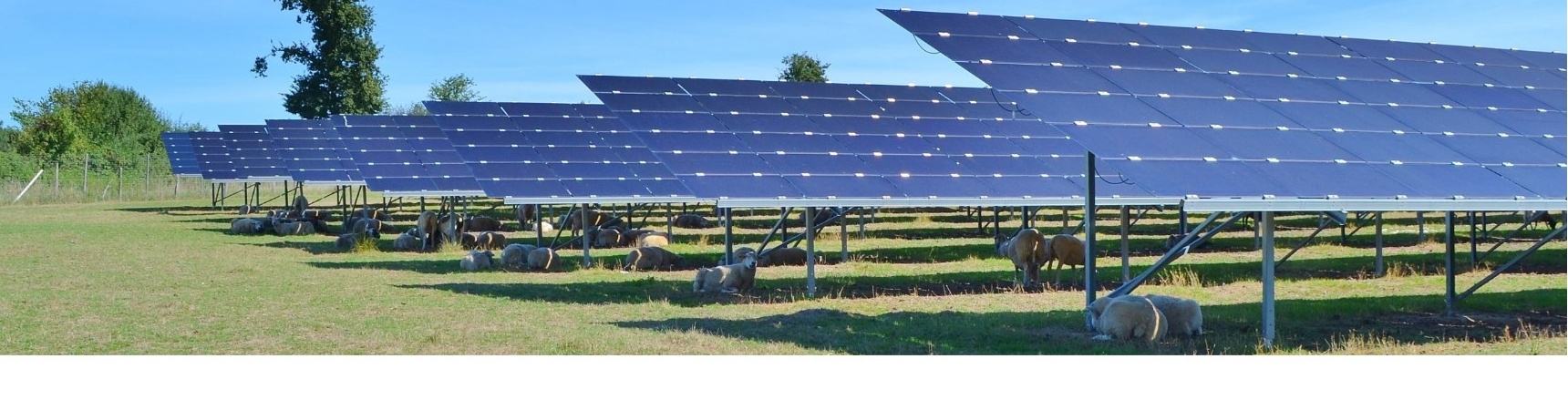 Panneaux photovoltaïques