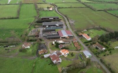 ferme_Pornic (44) 200 ha_Pays de la Loire_🐄 Elevage_kYchJAAS