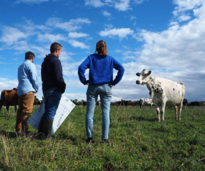 Accueil à la ferme