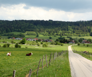 Bourgogne-Franche-Comté