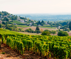 Centre-Val de Loire