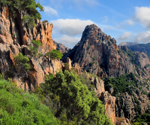 Corse