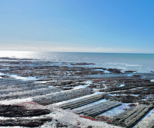 Normandie