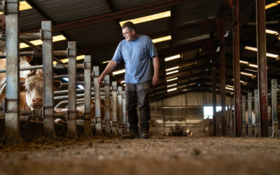 Bail à ferme agricole : les bases pour louer une terre avant de s’installer
