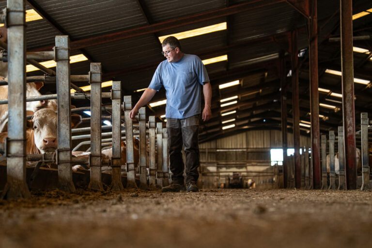 Bail à ferme agricole : les bases pour louer une terre avant de s’installer