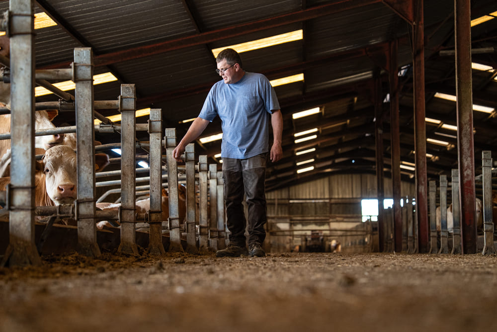 Bail à ferme agricole louer une terre agricole, bail rural débutant, statut du fermier, durée bail rural